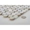 Andova Tiles ANDOVA TILES Polka 1" x 1" Penny Round Mosaic Tile ANDPOL215 - alternate 6